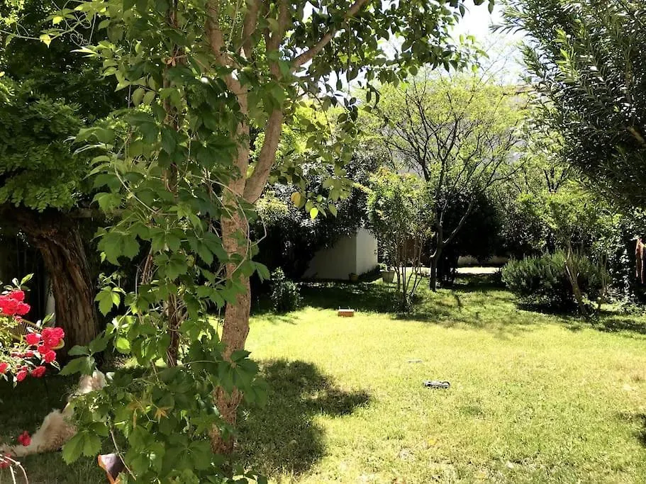 Maison De Caractere Avec Jardin Arbore En Avignon 0*,