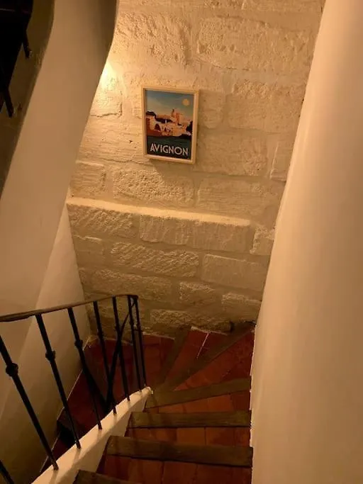 Maison De Caractere Avec Jardin Arbore En Avignon