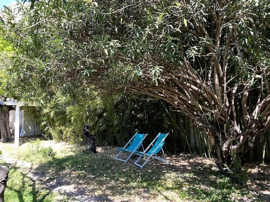 Villa Maison De Caractere Avec Jardin Arbore En Avignon