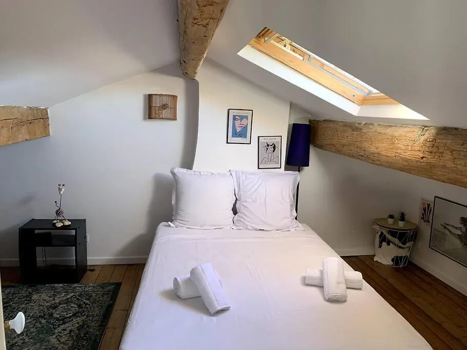 Maison De Caractere Avec Jardin Arbore En Avignon Villa
